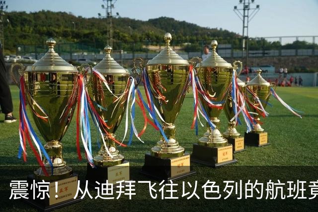震惊！从迪拜飞往以色列的航班竟成了惊悚剧场